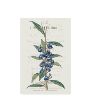Vision Studio Flower Garden Varietals Vi Canvas Art - 20