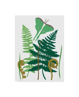 Alicia Ludwig Fern Fantasy Garden I Canvas Art - 20