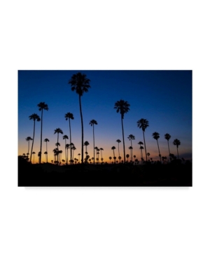 Trademark Global American School Palm Trees Ventura Canvas Art In Multi