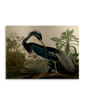 Trademark Global John James Audubon Louisiana Heron Floating Brushed Aluminum Art In Multi