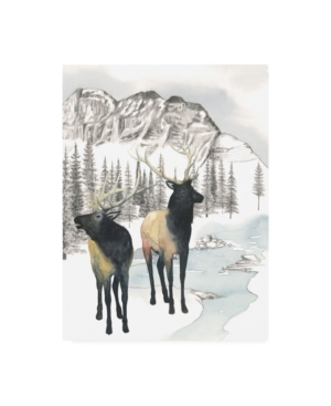 Grace Popp Winter Elk Ii Canvas Art - 20