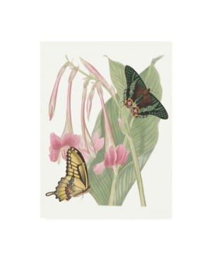 Trademark Global Vision Studio Ua Ch Les Papillons Ii Canvas Art In Multi