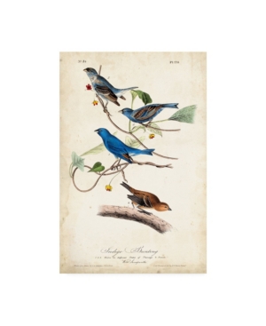 Trademark Global John James Audubon Indigo Bunting Birds Canvas Art In Multi