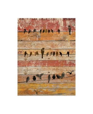 Trademark Global Irena Orlov Birds On Wood Ii Canvas Art In Multi