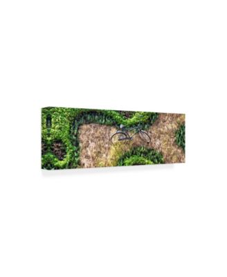 Trademark Global Philippe Hugonnard Viva Mexico 2 Earth from above III Canvas Art - 27" x 33.5"
