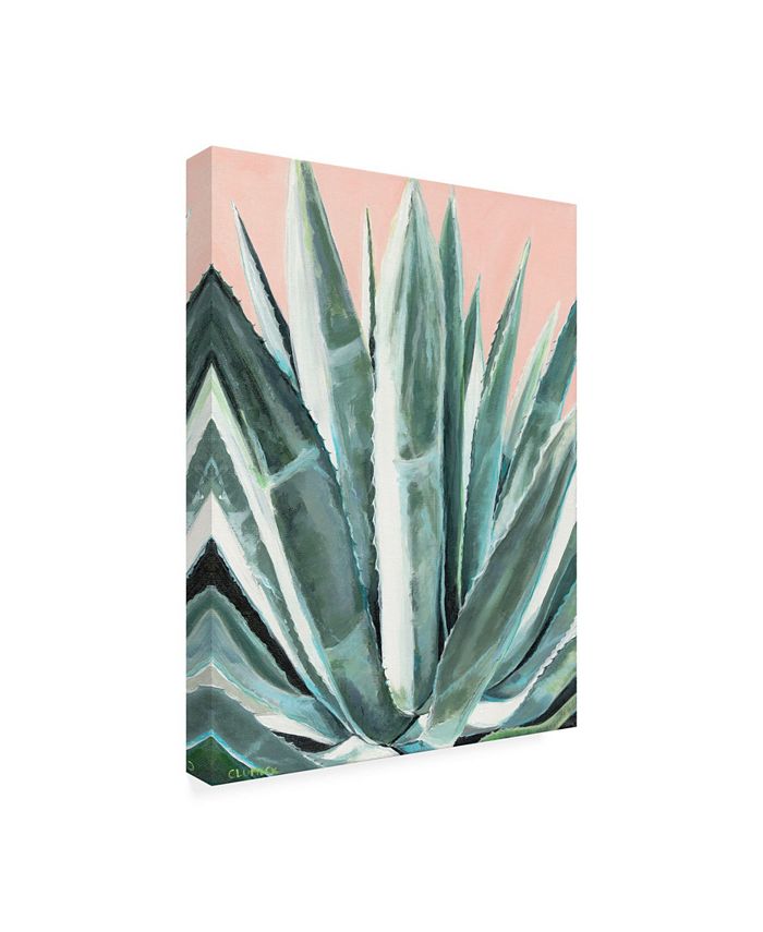Trademark Global Alana Clumeck Laughter Agave Canvas Art - 15.5