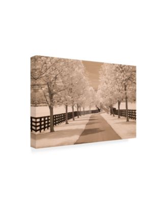 Trademark Global Monte Nagler Fence and Trees Kentucky 2 Canvas Art - 20" x 25"