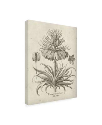 Trademark Global Vision Studio Fresco Crown Imperial III Canvas Art - 36.5" x 48"