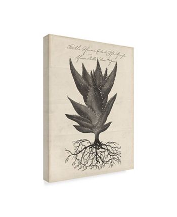 Trademark Global - 