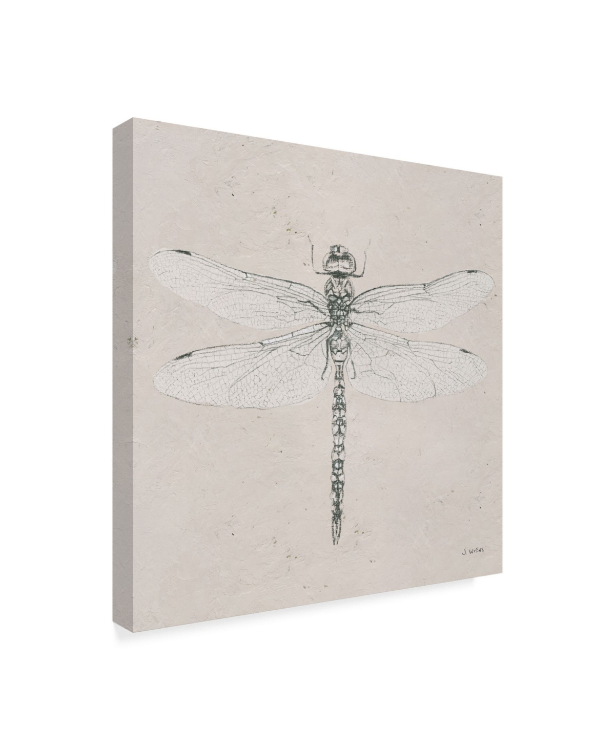 James Wiens Soft Summer Sketches Vi Canvas Art -
