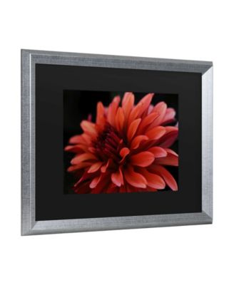 Kurt Shaffer Red Dhalia Matted Framed Art - 27" x 33"