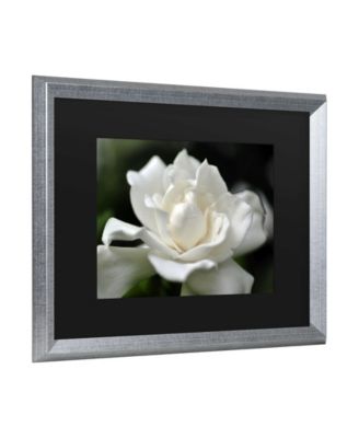 Kurt Shaffer Lovely Gardenia Matted Framed Art - 27" x 33"