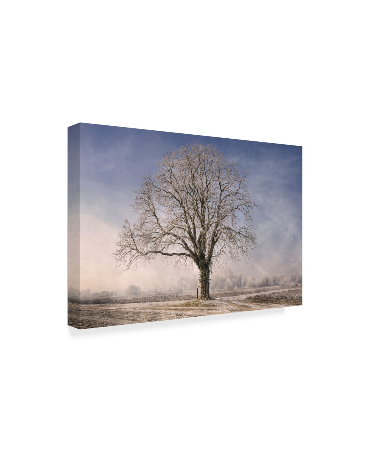 Philippe Sainte-Laudy The Tree Fairy Tale Canvas Art -