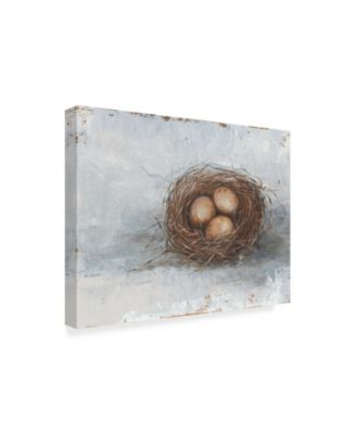 Trademark Global Ethan Harper Rustic Bird Nest II Canvas Art - 15" x 20"