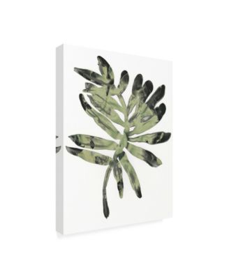 Trademark Global June Erica Vess Foliage Fossil V Canvas Art - 20" x 25"