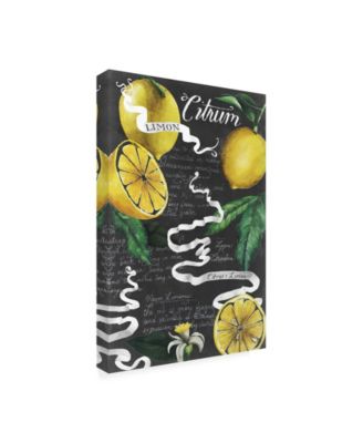 Trademark Global Grace Popp Chalkboard Citrus I Canvas Art - 20" x 25"