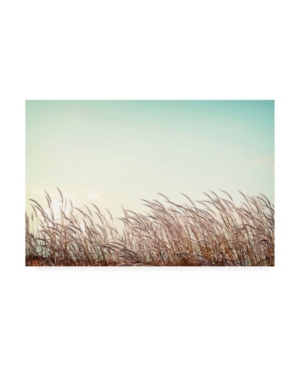 Trademark Global Photoinc Studio Retro Grass Canvas Art In Multi