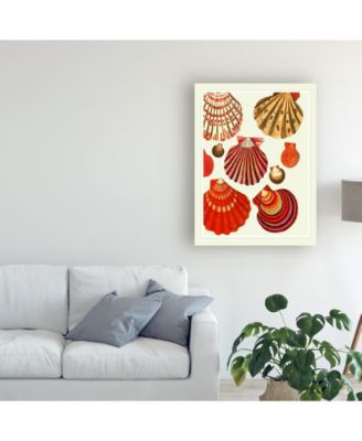 Trademark Global Fab Funky Red and Cream Clam Shells Canvas Art - 27" x 33.5"