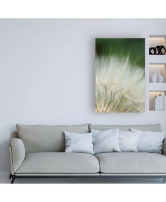 Trademark Global Renee W. Stramel Macro Dandelion I Canvas Art - 27" x 33.5"