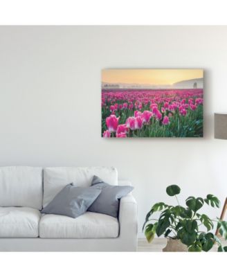 Alan Majchrowicz Skagit Valley Tulips I Canvas Art - 20" x 25"
