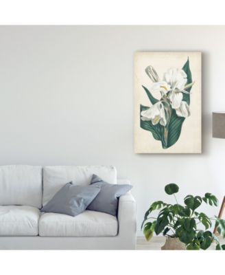 Trademark Global Curtis Ivory Garden IV Canvas Art - 15" x 20"