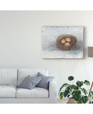 Trademark Global Ethan Harper Rustic Bird Nest II Canvas Art - 20" x 25"