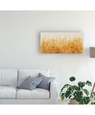 Trademark Global Tim Otoole Ochre Fields I Canvas Art - 15" x 20"