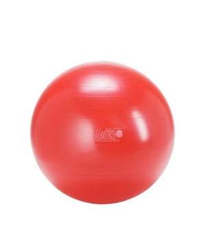 Gymnic Classic Exercise Ball 55 In Red