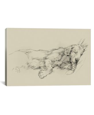 Dog Days Iii by Ethan Harper Wrapped Canvas Print - 18