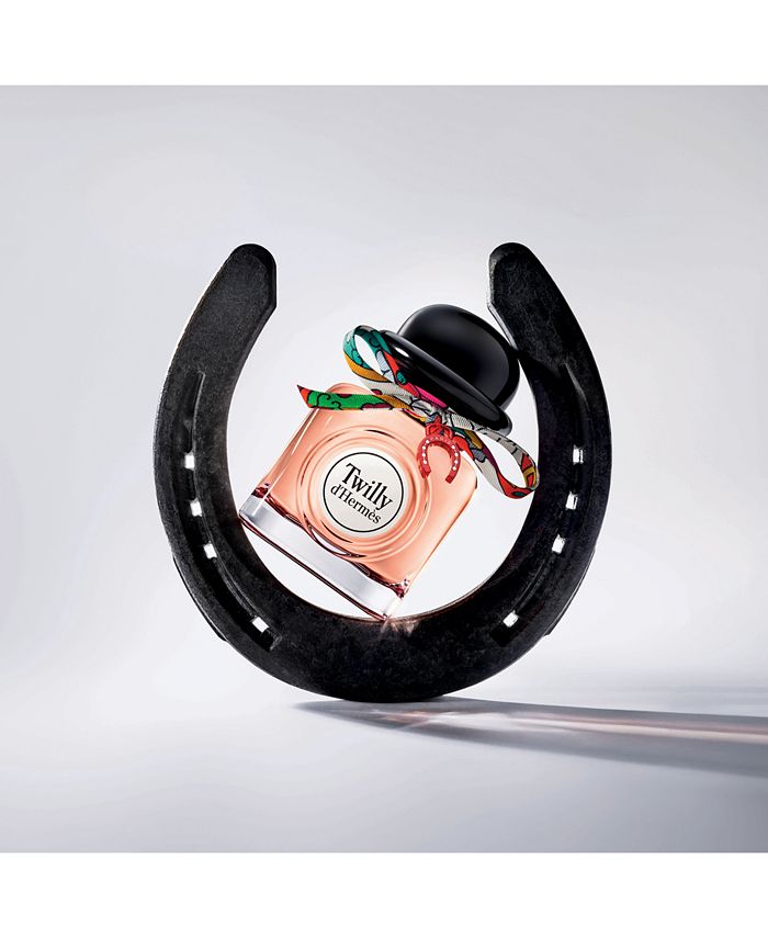 Hermes charming 2025 twilly