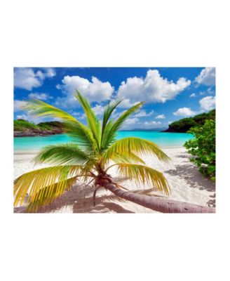 Colossal Images - Growing Palm Canvas Art, 18 x 24