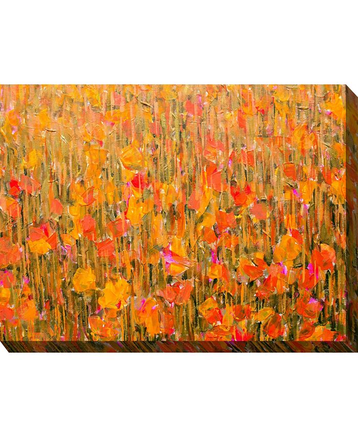 West of the Wind Summer Rain Indoor/Outdoor Art, 40" x 30" Macy's