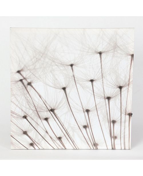 Luxen Home Set Of 3 Dandelion Prints With Led Lights Reviews