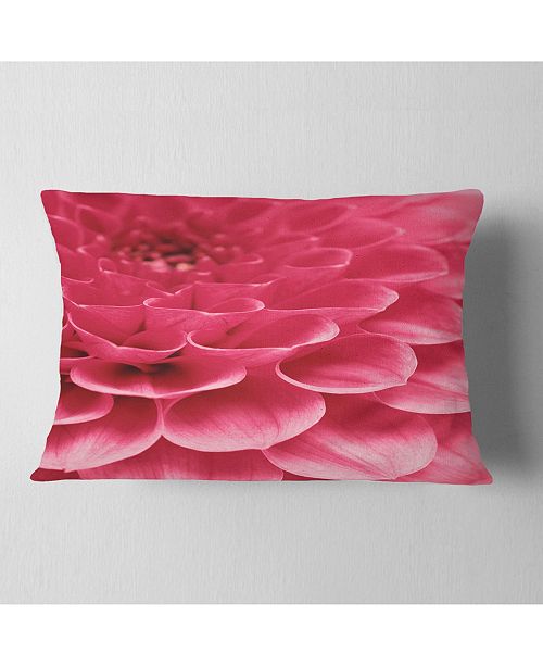 Design Art Designart Soft Rose Abstract Flower Petals Floral Throw