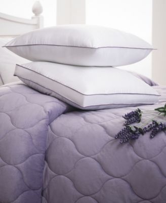 PowerNap Dream Infusion Lavender Scented Soft Touch Pillow, Standard