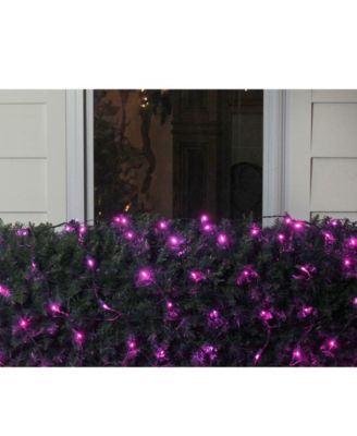 4' x 6' Raspberry LED Wide Angle Christmas Net Lights - Green Wire
