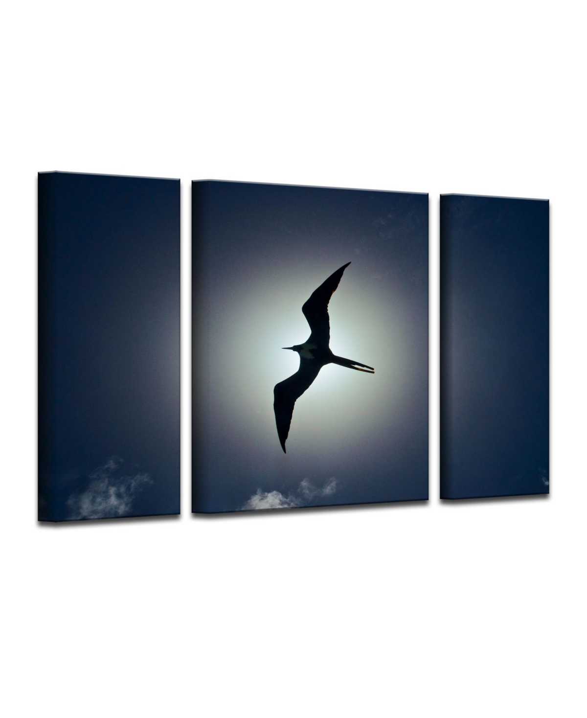 Ready2HangArt Frigatebird 3 Piece Wrapped Canvas Wildlife Wall Art Set, 32
