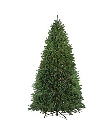 10' Pre-Lit Northern Pine Full Artificial Christmas Tree - Multi Lights