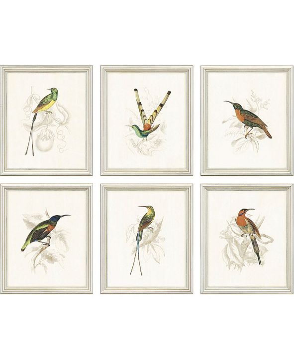 Paragon Hummingbirds Framed Wall Art Set of 6, 13" x 11 ...