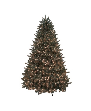 Northlight 75' Pre-Lit Grande Spruce Artificial Christmas Tree - Dual Color Led Lights