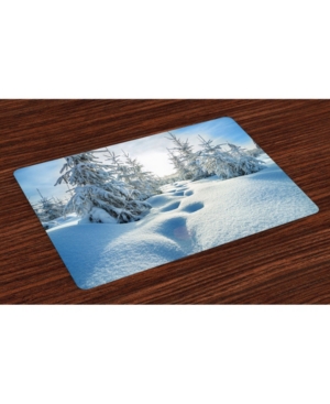 Ambesonne Winter Place Mats Set of 4