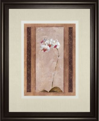 Contemporary Orchid II by Carney Framed Print Wall Art, 34" x 40"