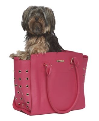 Parisian Pet