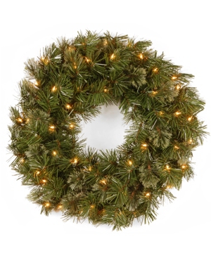 National Tree Company 24