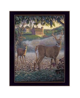 Field of Dreams by Kim Norlien, Ready to hang Framed Print, Black Frame, 14" x 18"