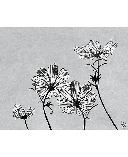 Creative Gallery Vintage Like Flowers In Black White 36 X 24