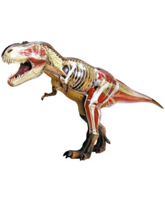 Fame Master Famemaster 4d Vision T-rex Anatomy Model for sale online 