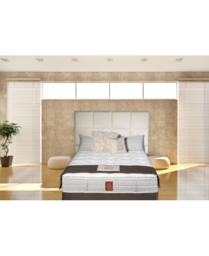 Paramount Joma Angus 15