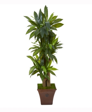 Nearly Natural 57in. Corn Stalk Dracaena Artificial Plant In Brown Planter Real Touch In Green