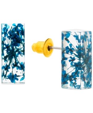 image of Steve Madden Gold-Tone Encapsulated-Flower Rectangular Stud Earrings